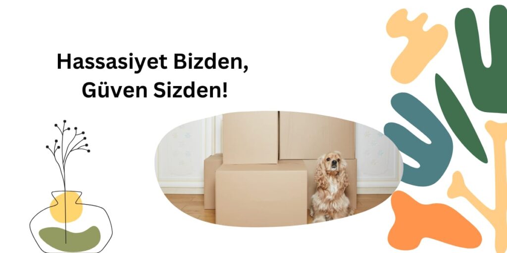 Muğla nakliyat ambarı